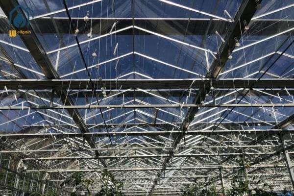 Agriculture Vegetable Flower Glass Greenhouse Farm Commercial Greenhouse