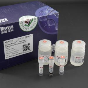 China 10 mg / mL Protein A Immunoprecipitation Kit 20 Reactions wholesale