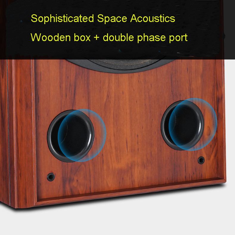 Coaxial HiFi 12 Inch Bookshelf Speakers , Audiophile Bluetooth Speaker 220W