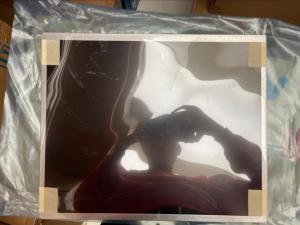 China 17&quot; G170ETN02.2 Sunlight Readable 1280x1024 LCD Display Panel wholesale