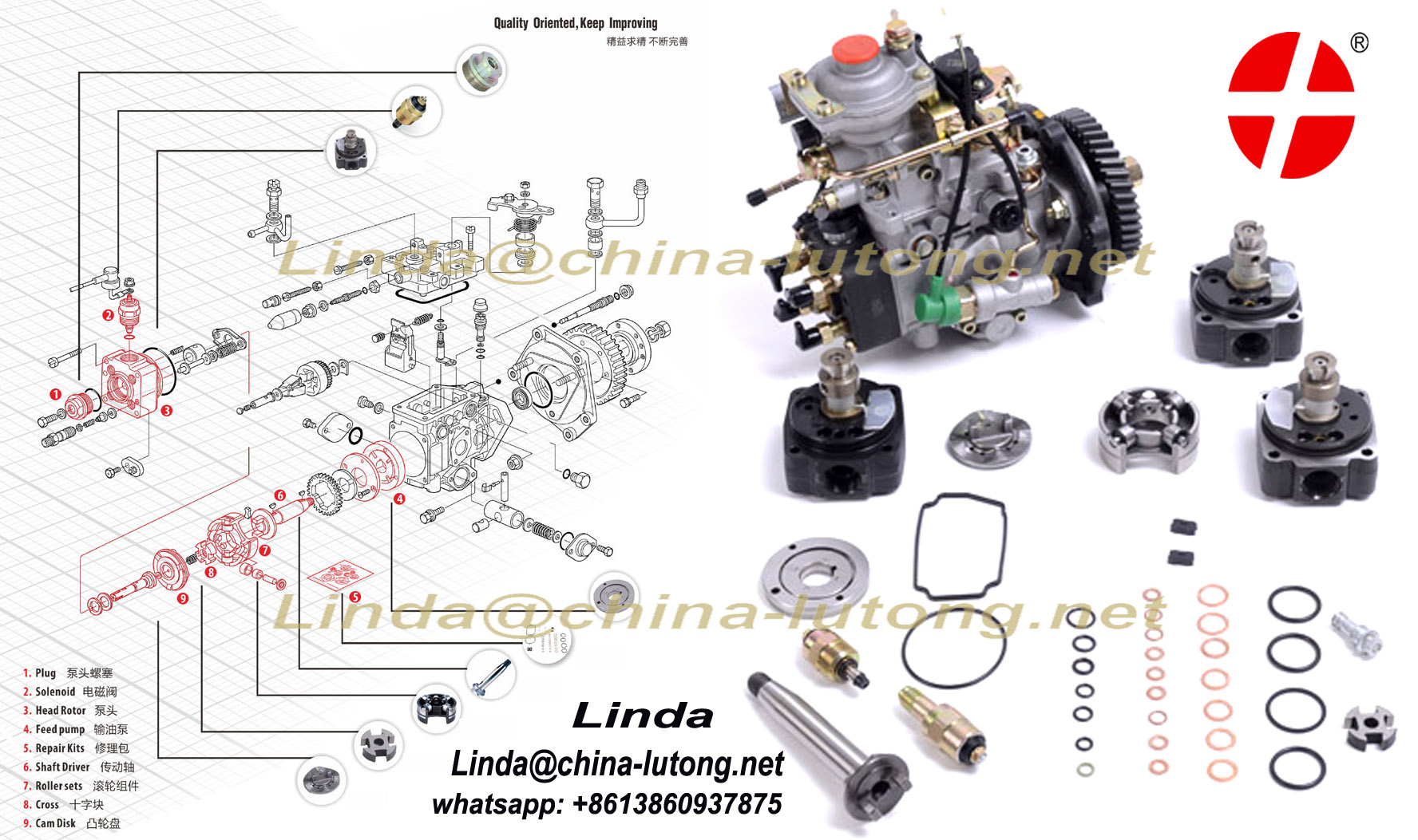 rotor pump company