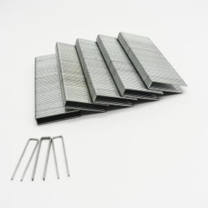 China 16GA N Series Staples N staples N10-N21 wholesale