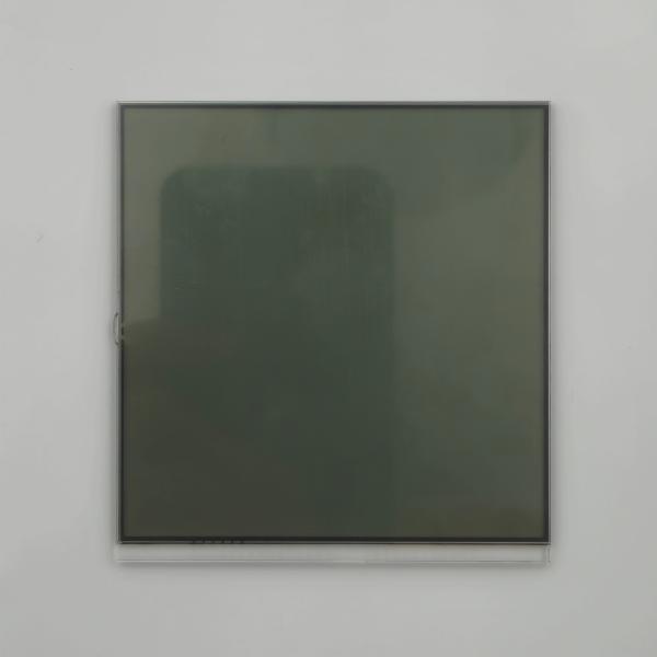 OEM ODM Support 8 Digit TN Segmented Zebra Connector LCD Custom Segment LCD for Medical Devices