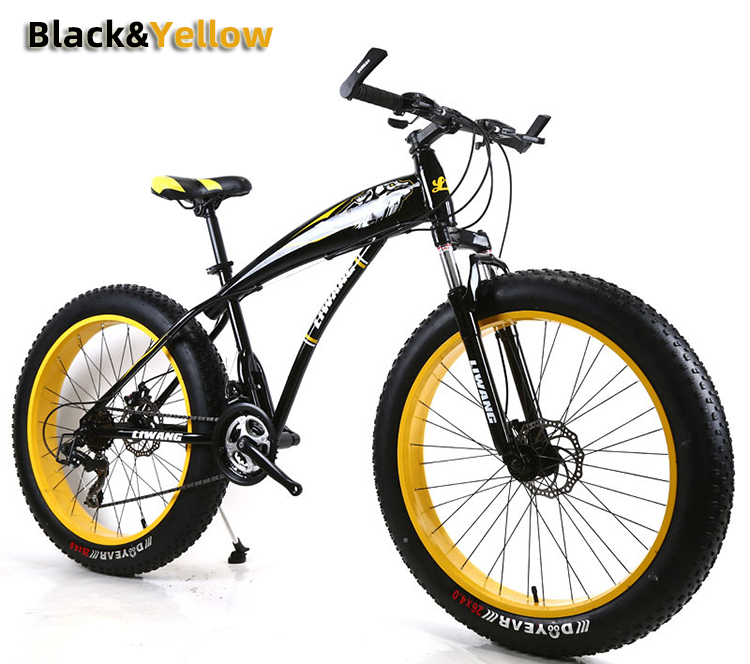 Adult Customized Mountain Cruiser Bicycle Fat Tire Mountain Bikes with 4.0 inch Tire Width and carbon steel Fork Material