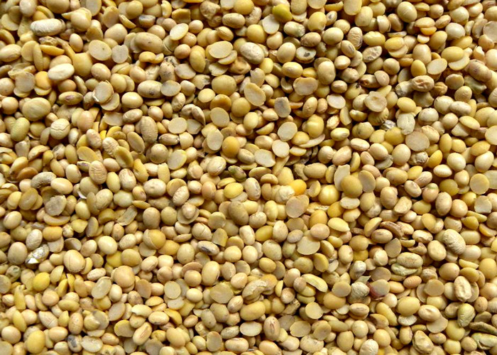 Intelligent Bean Color Sorter Mini Red Bean Soybean Optical Color Sorter