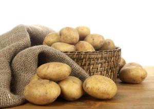China CE Approved Food Preparation Equipments , Electric Commercial Potato Peeler Machine wholesale
