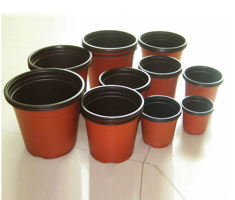 high quality forest seedling tray
