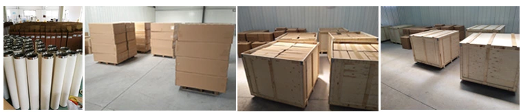 MS30 MS40+ Vacuum Pump Exhaust Oil Mist Filter Separator 03.704347