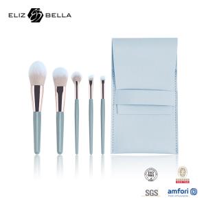 China 5pcs Mini Makeup Brush Gift Set Plastic Handle Cosmetic Case With Nylon Hair wholesale