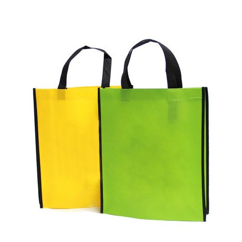PP Woven Plastic Shopping Bag