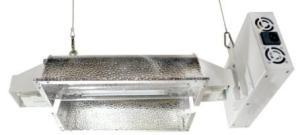 China Lighting Fixture1000w /600w Plant lighting Low Price High Quality wholesale
