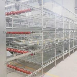 China Anti Fall Broiler Chicken Cage A Type / H Type Less Respiratory Diseases wholesale