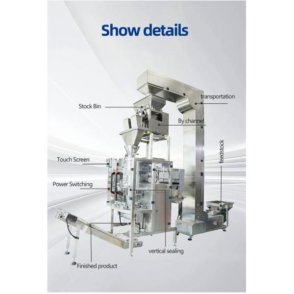 Multi Function Automatic Vacuum Pillow Packing Machine PL-VP for Food / Granules