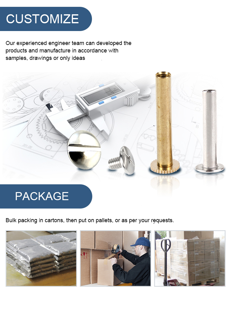 Customized Stainless Steel Pan Head Chicago Screw for Leather Belt and Book Binding