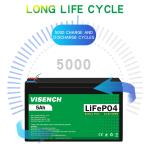 Visench Direct factory high quality 12v 5ah lithium battery 12v 200ahDeep 6000