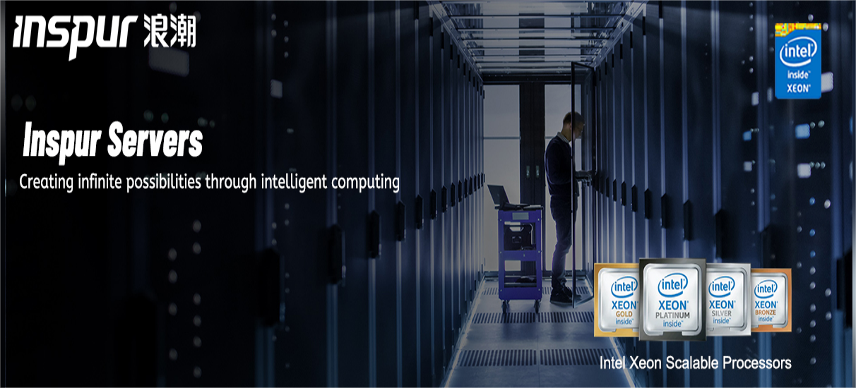 Original Wholesale High Performance Inspur Tower Server Np3020M5 42U Rack Cabinet Hard Drive Video Server