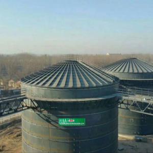 China WWTP 800m3 Biogas Digester Tank RNG Anaerobic Digester Septic Tank wholesale