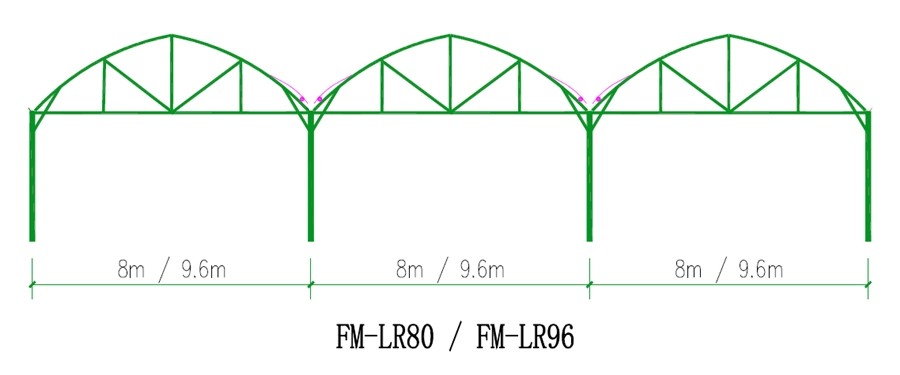Multi Span Greenhouse Project Management & Advanced Irrigation For Large Farms