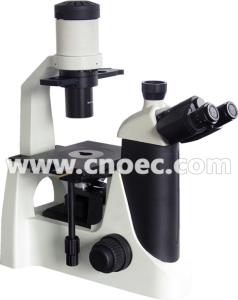 China Biological Inverted Optical Microscope wholesale