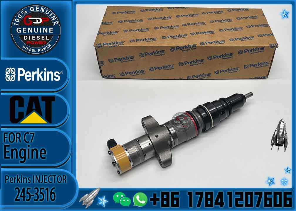 Diesel Engine Parts Common Rail Fuel Injector 243-4503 for CAT C7 Diesel Engine CNDIP Factory price