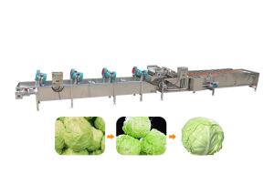 China 5.1KW 380v 50hz 1500kg/H Vegetable Cleaning Machine wholesale