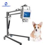 Hot sale X ray veterinary