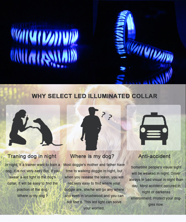 Safe Luminous LED Light Up Dog Collar , Dog Cat Pet Safety Flashing Collar