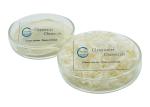 Food Grade Agricultural 9012-76-4 Chitin Hemostatic Dressing Fertilizer Powder