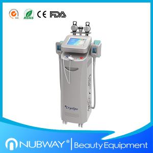 China Best seller!!! Low price for 5 handles cryolipolysis treatment wholesale