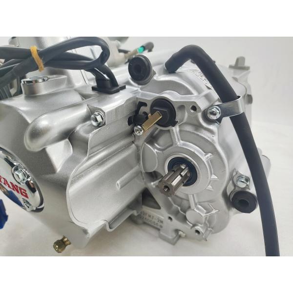 4 Stroke DAYANG Complete Motorcycle Nature 110CC Gasoline Engine Ignition Style Origin CCC
