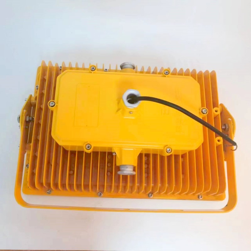 IP66 3000k 50w Explosion Proof LED Flood Lights Outdoor Anti Explosive Lamps