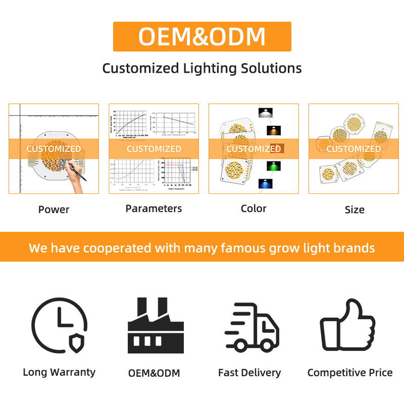High Power Bi Color 300W 6060 Flip Chip Custom Cob Led Chip For Commerical Led Light Stage Light