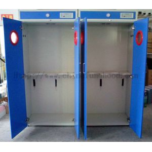 China Alkali Resistant Flammable Gas Storage Cabinet Practical Multipurpose wholesale