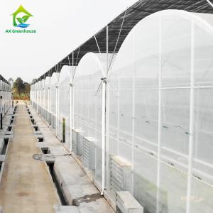 China Plastic Film Greenhouse For Vegetables wholesale
