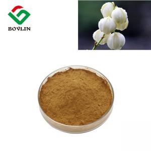 China Organic Bulk Yucca Schidigera Extract Powder 80% Saponins on sale