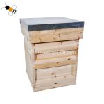 Antiseptic Thick 20mm Beeswax Foundations Bee Hive