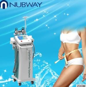 China Cryolipolysis Slimming Machine(NBW-C200) wholesale