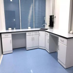 China School Chemistry Lab Workbench With PP Sink wholesale