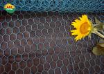 HUILONG 1x50m Chicken Fencing Wire , Hardware Cloth Rabbit Wire Fence