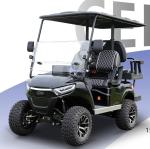 Private Mold Electric Lifted Cart 4 Passenger Chinese Hunting Golf Carts with