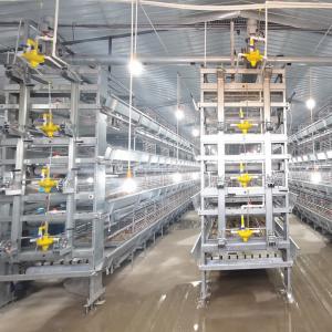 China Hot Dip Galvanized Q235 Broiler Equipment 108 / 144birds Wire Chicken Cage wholesale