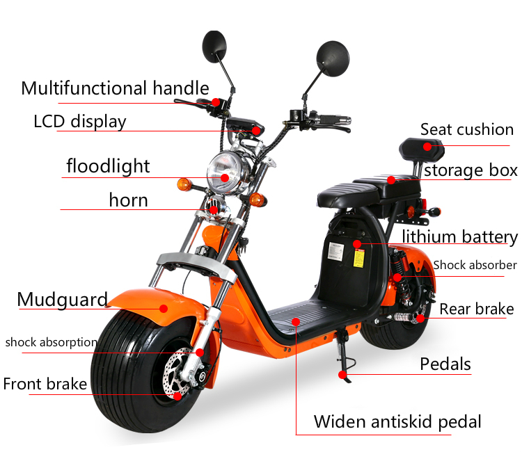 Eec Coc European Electric Scooter 120kg Long Range City Coco Fat Tire Scooter
