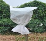 Handbag Technology Spunbond Non Woven Fabric Perfect for Agricultural Packaging