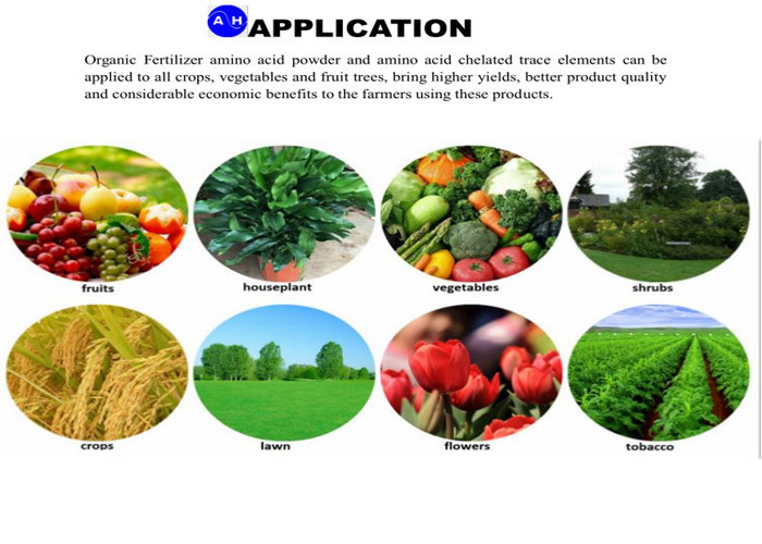 Acidic Free Grow Foliar Fertilizer 40% Plant Origin Alkaline Soil Application