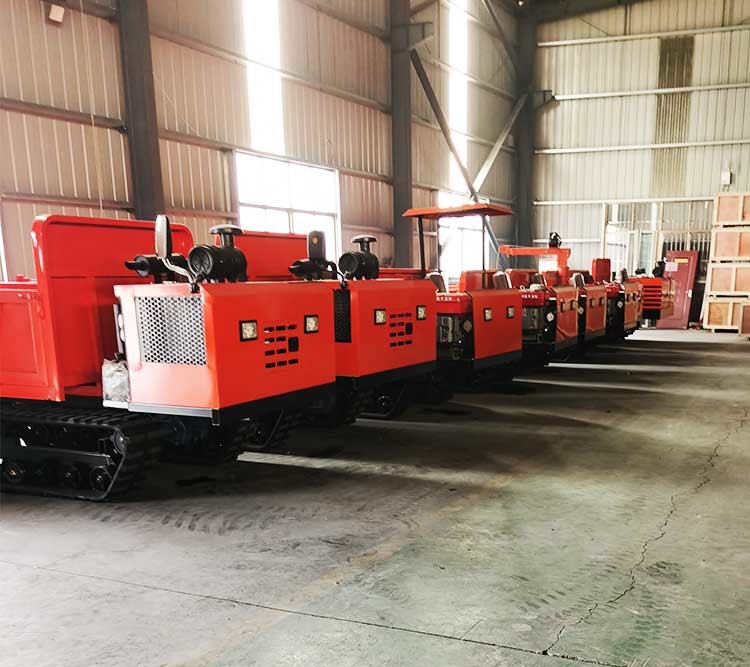 Hydraulic Truck Dumper 4 Tons Crawler Carrier Mini Dumper Loading