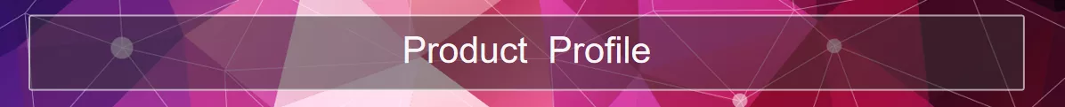 Custom Mold Plastic Injection Molding Service Professional Design and Manufacturing