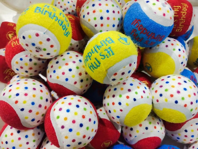 Dog Happy Birthday Tennis Ball 3 Pack Bright Colorful Squeak Ball Chew Toy