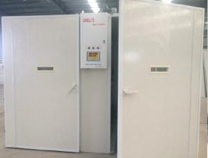 China Commercial Chicken Hatchery Equipment 16000 wholesale