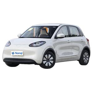 China Wuling Binguo Small Electric Vehicles Front Wheel Drive Large Space wholesale