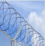 Blade Fencing Barb 450mm Concertina Razor Wire Bto-18